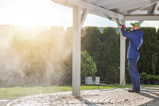 Best Sidewalk and Walkway Cleaning  in Myrtle Grove, FL
